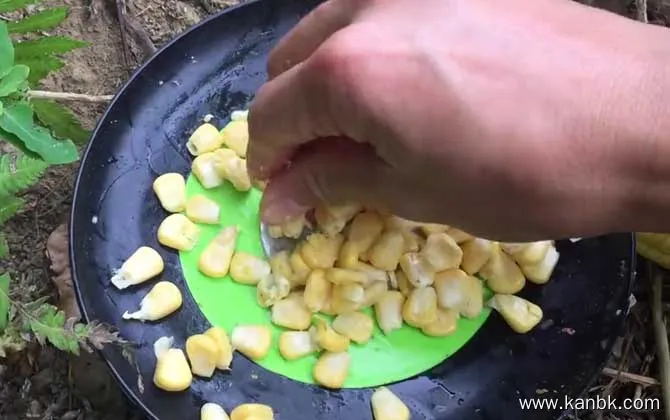 嫩玉米